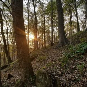 Meet your Posher, Nathan